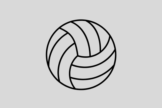 Volleyball-Specific Design and Functionality